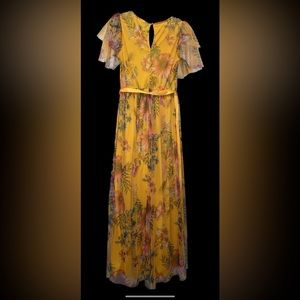 Long beautiful dress